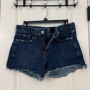 Express Denim Shorts
